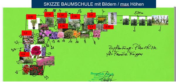SKIZZE BAUMSCHULE mit Bildern / max Höhen Abbildung der Skizze der Baumschule